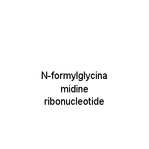 N-formylglycinamidine ribonucleotide